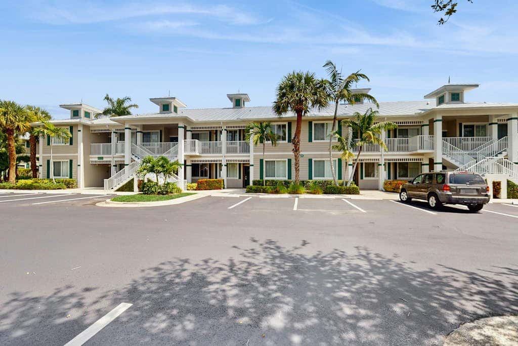 Royal Palm