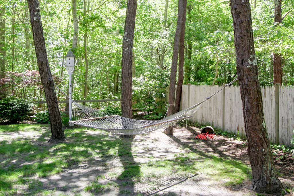 Coastal Retreat w/ Sunroom & Yard – Walk to Private Beach & Harwich Port