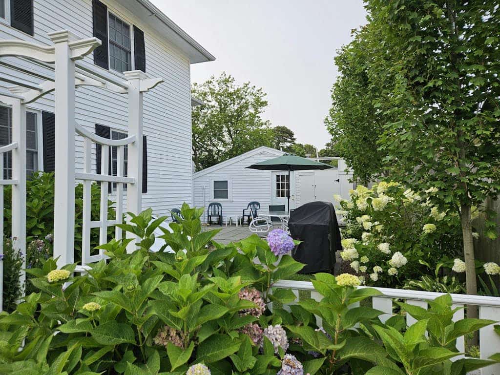 Bright spacious downtown home; walk to beach & lighthouse