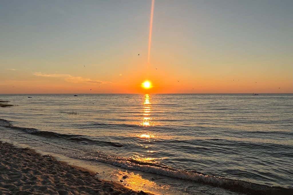 Sand, Shells & Sunsets