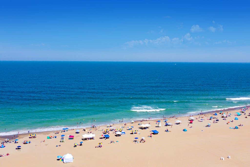 The Sandbridge Dunes - A Beach Delight 116