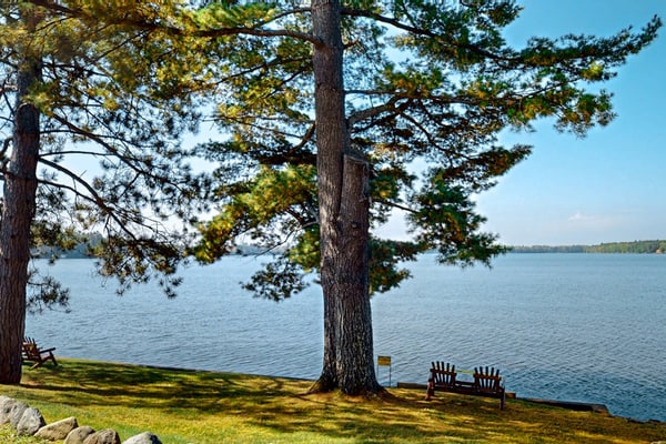 Lakefront resort retreat with screened porch, fireplace, pool, marina, & dining