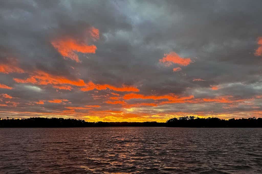 Cozy, Peaceful, Lakefront Retreat with Private Walking trails, Fire pit, & More