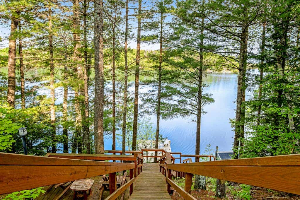 Loon's Landing