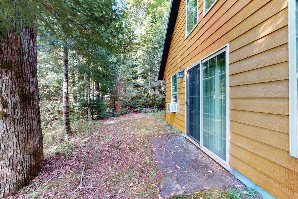 Balsam Ridge Cabin 1- Bear