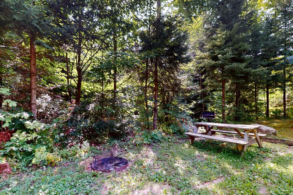 Balsam Ridge Cabin 1- Bear