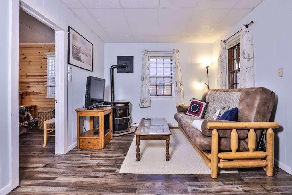 Lake view, dog-friendly cabin with porch & shared dock, swimming area, firepit