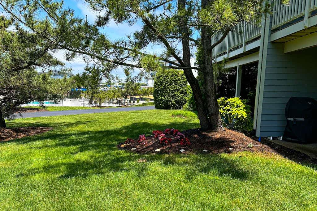 Spring Lake dog-friendly gem with private patio, fireplace, W/D, shared pool,