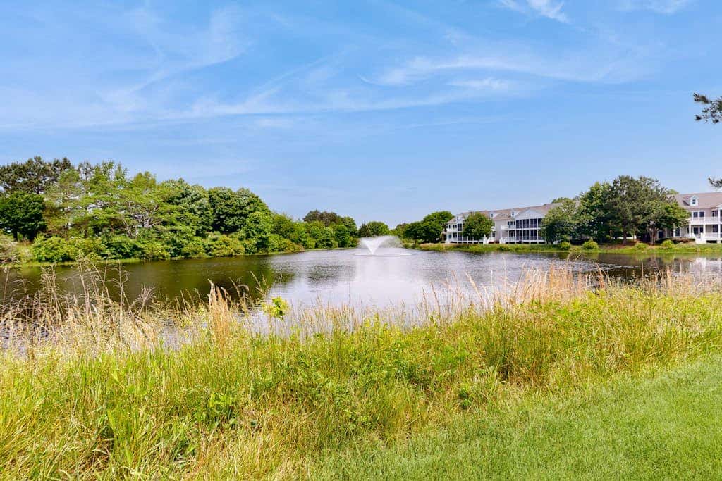 Bear Trap Dunes - 10 Sycamore St