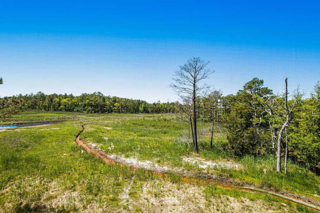 Bethany Bay - 8006 Pettinaro Dr