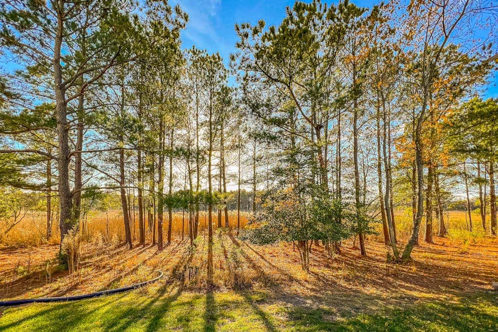 Bethany Bay - 37514 Pettinaro Dr # 9404