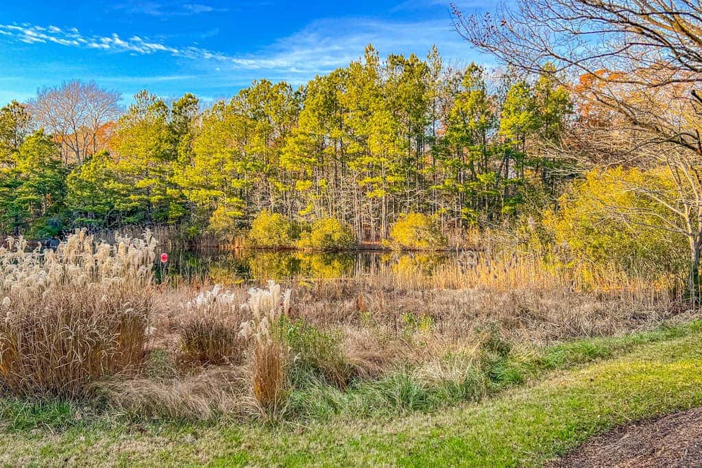 Bethany Bay - 37464 Pettinaro Dr #7204