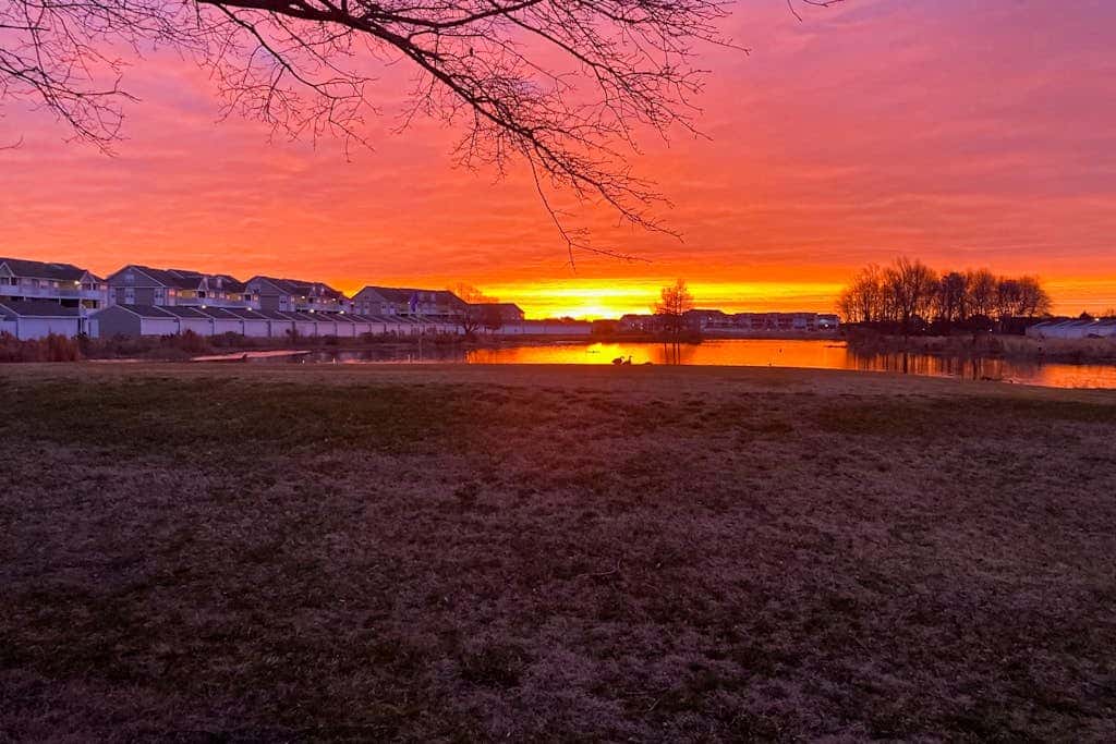 Bethany Bay - 37464 Pettinaro Dr #7204