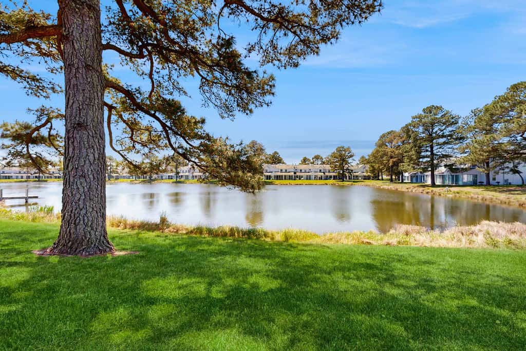 Mallard Lakes - 38082 Mockingbird Ln