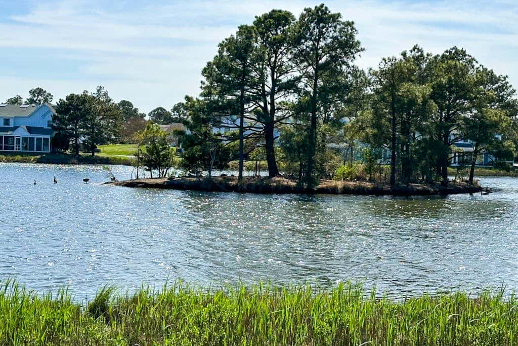 Mallard Lakes - 38082 Mockingbird Ln Unit #48