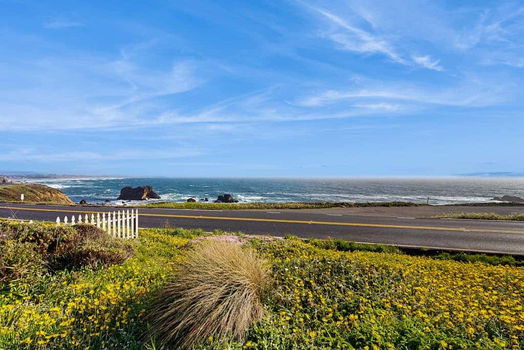Sunset Escape - Oceanfront Dog-Friendly Cottage, Bodega Bay