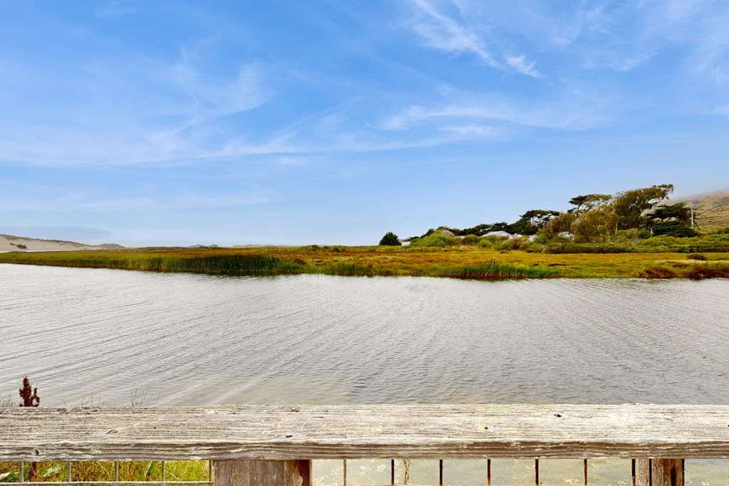 Salmon Creek flows past your deck as harbor seals play in the tidal waters below. Curl up by the gas fireplace with your pup after exploring the beach — just a short walk away. This intimate cottage for two sits directly on the water with sweeping views across the creek to distant hills. Spud Point's legendary crab sandwiches are 1.5 miles south. Your front door opens to the wild Sonoma Coast, where gray whales pass in winter and the sound of the Pacific carries on the breeze. 