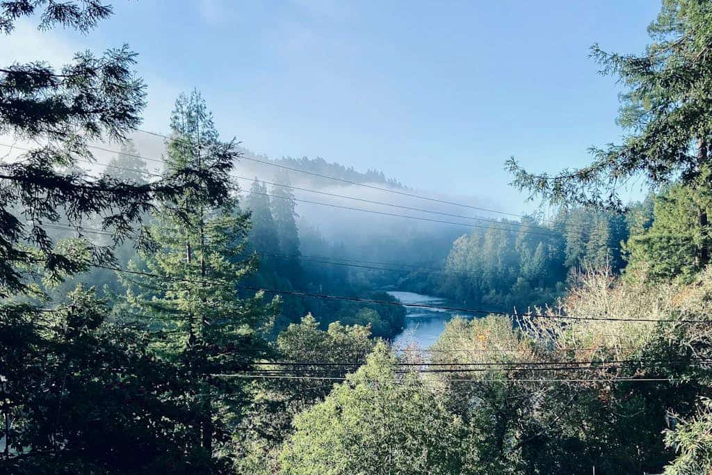 The Russian River glimmers through the trees below your hot tub at this dog-friendly Monte Rio lodge. This dog-friendly cottage perched above the water offers a gas fireplace and room for 4. Just 5 minutes from Guerneville's restaurants and 15 from the Sonoma Coast. Your deck becomes a front-row seat to river life — watch kayakers drift by as eagles soar overhead. This is Monte Rio magic: where time slows down and the river sets the pace.