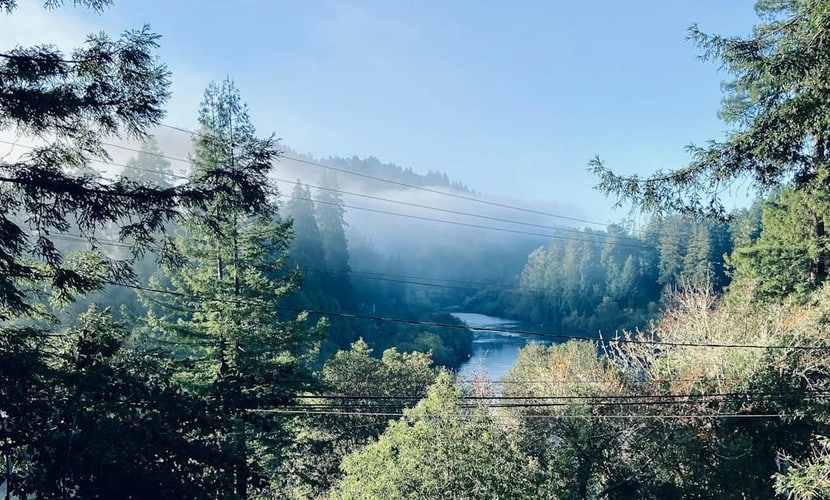 The Russian River glimmers through the trees below your hot tub at this dog-friendly Monte Rio lodge. This dog-friendly cottage perched above the water offers a gas fireplace and room for 4. Just 5 minutes from Guerneville's restaurants and 15 from the Sonoma Coast. Your deck becomes a front-row seat to river life — watch kayakers drift by as eagles soar overhead. This is Monte Rio magic: where time slows down and the river sets the pace.
