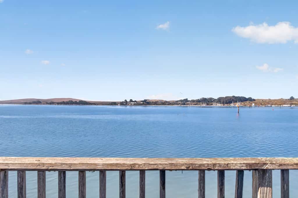 Wake to the cries of seabirds and watch fishing boats motor past from your waterfront perch. This intimate studio for two sits directly over Bodega Bay on weathered pilings — the water literally flows beneath you. Sip morning coffee on the narrow deck as harbor seals surface nearby. Just steps from Diekmann's Bay Store and The Boat House restaurant. An hour and a half from San Francisco, you'll find the coastal reset you've been craving. 