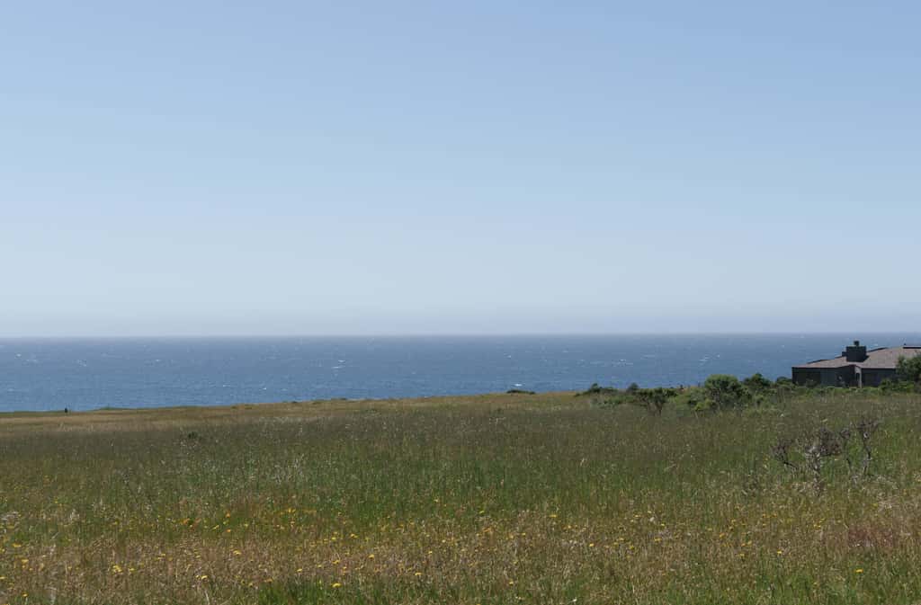 Nowell House - Stunning Oceanfront Sea Ranch home in West Meadow, private hot tub & 3-ensuite bedrooms
