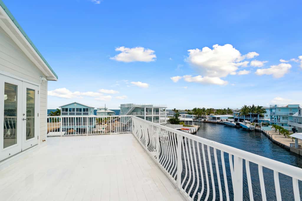 Dolphin Paradise