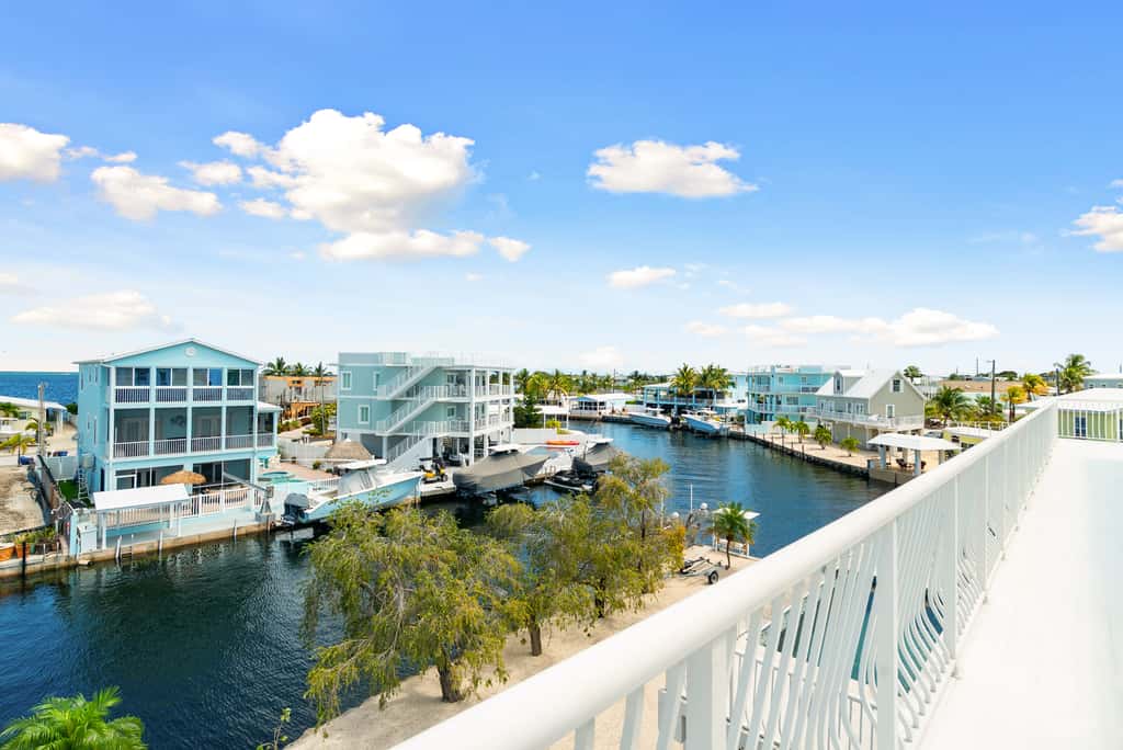 Dolphin Paradise