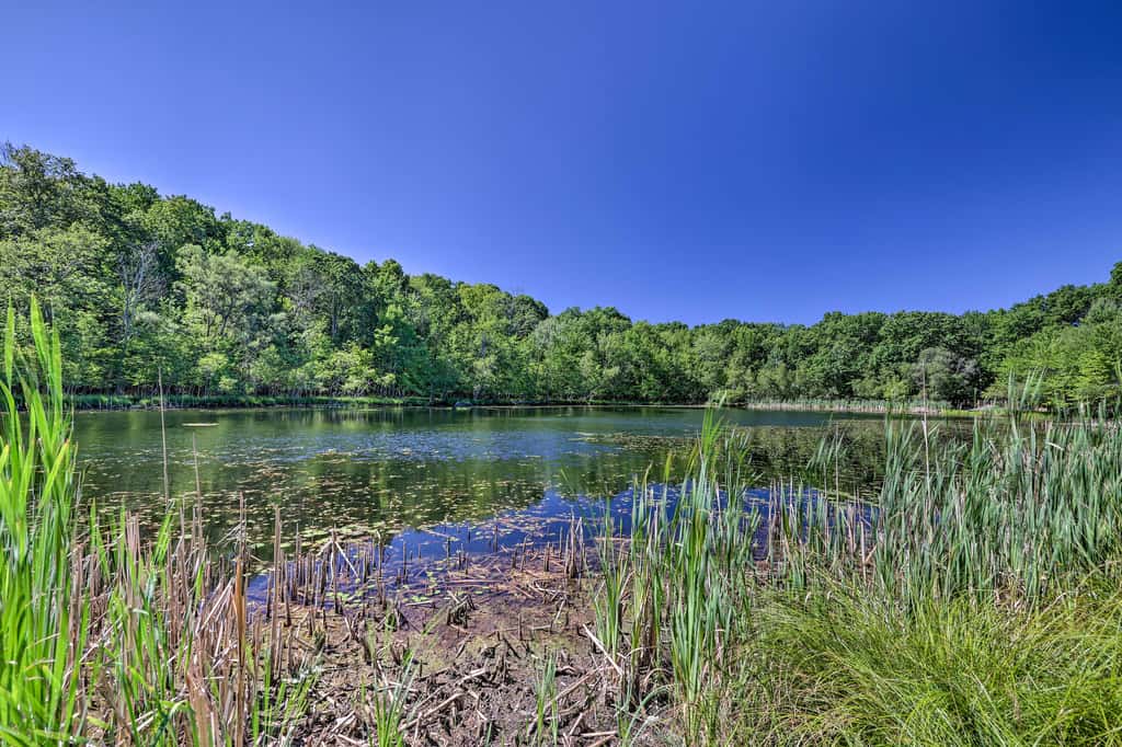Fire Pit & Grill: Lakefront Poconos Cottage!