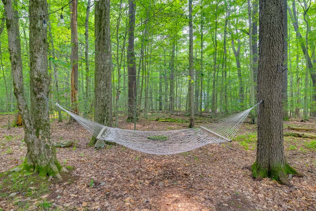 Fire Pit & Grill: 'Woodside Nest' in Pocono Lake!
