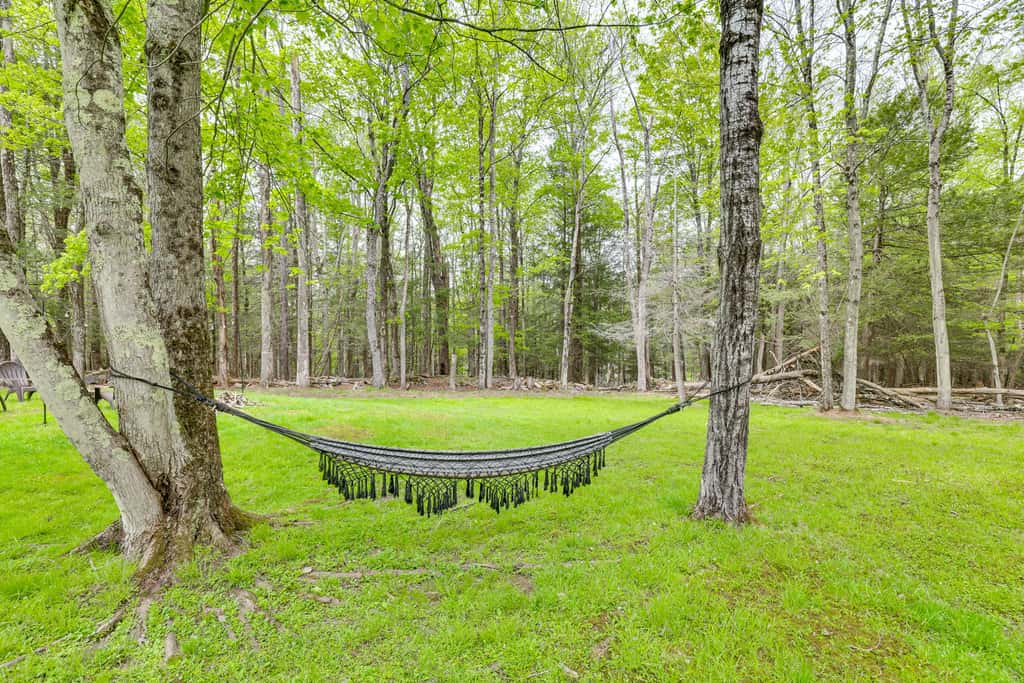 Peaceful Wooded Retreat at Lake Wallenpaupack!