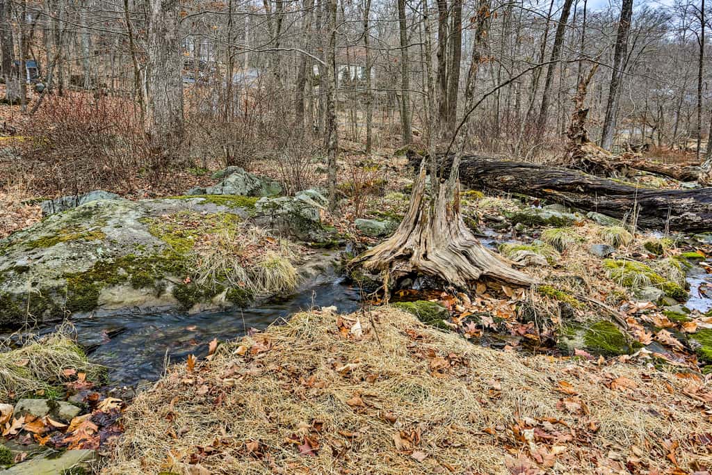 4 Mi to Tubing: Cozy Bushkill Cabin w/ Deck!