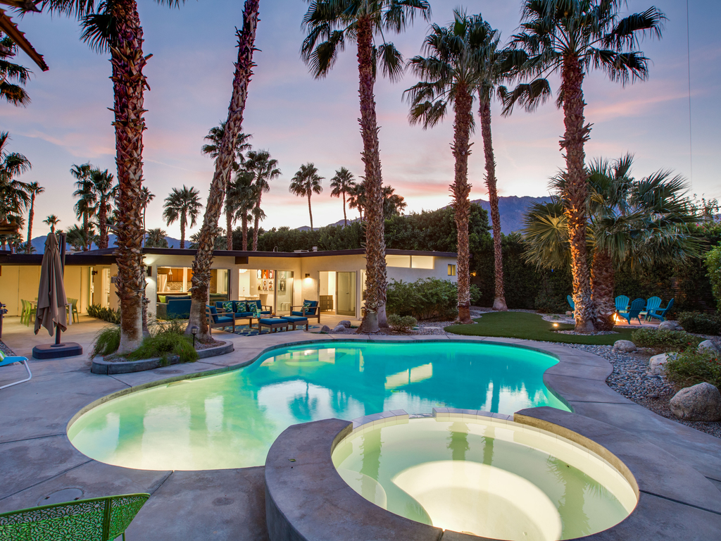 Under the Palms