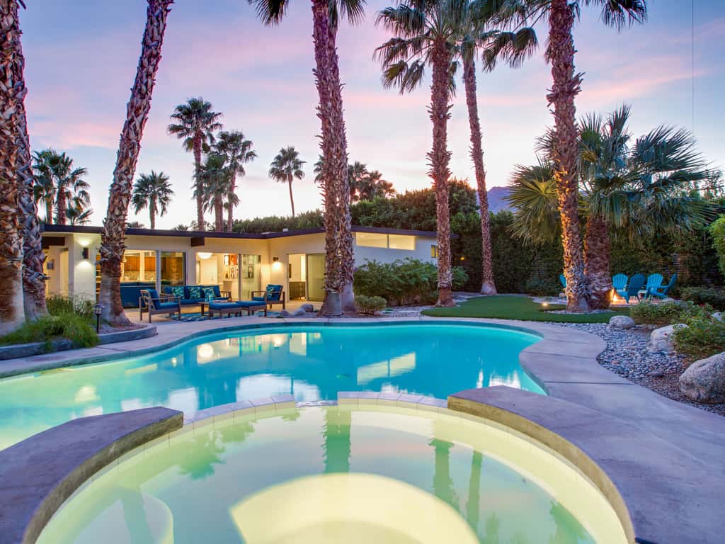 Under the Palms