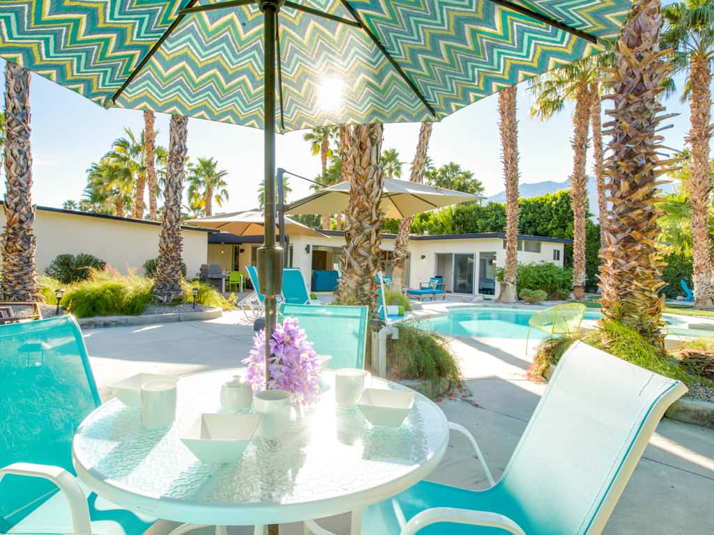 Under the Palms