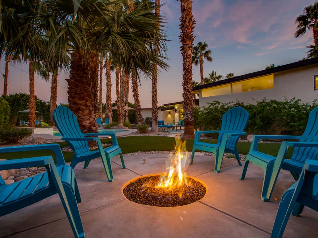 Under the Palms