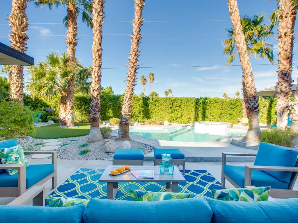 Under the Palms