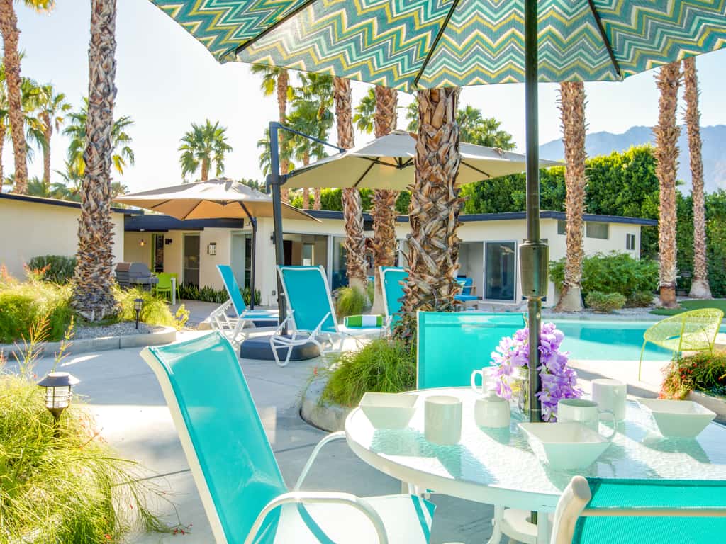 Under the Palms