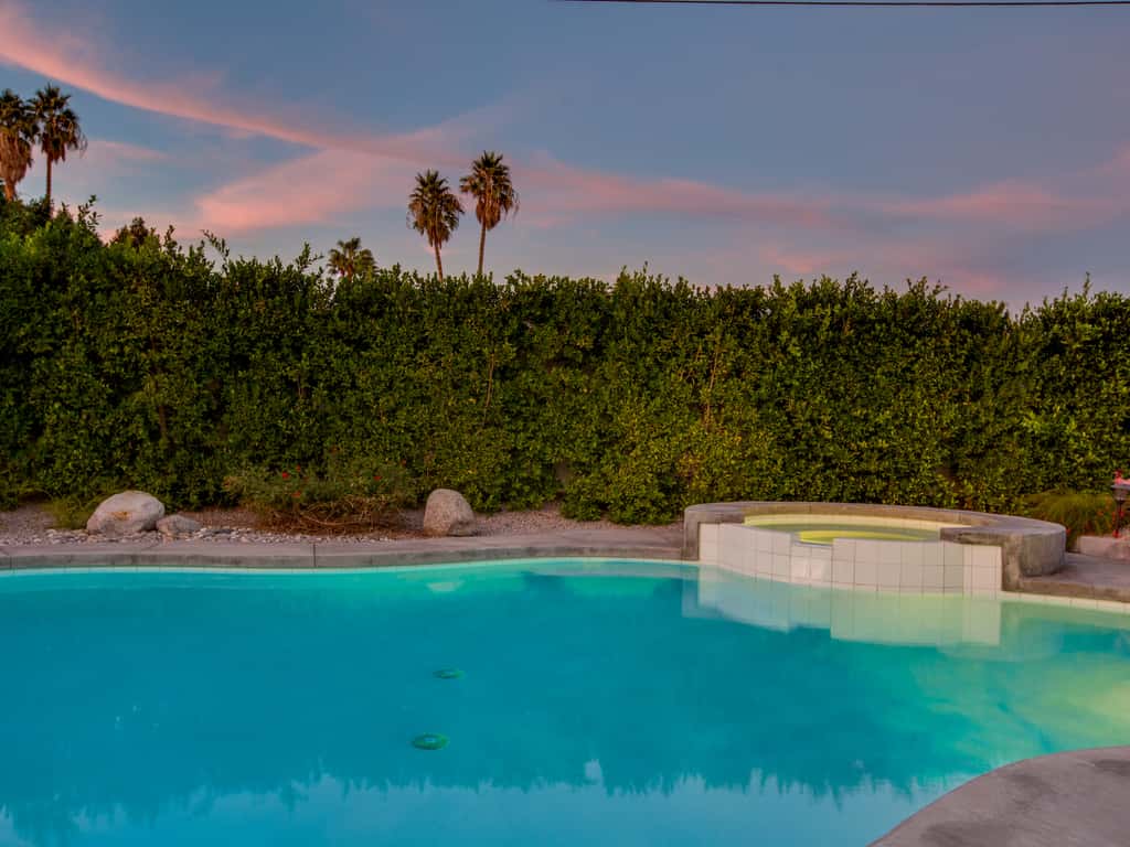 Under the Palms