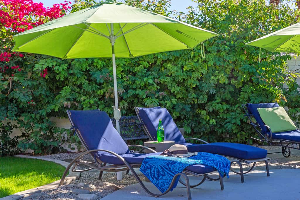 Ruth Hardy Park Oasis – Walkable PS Escape