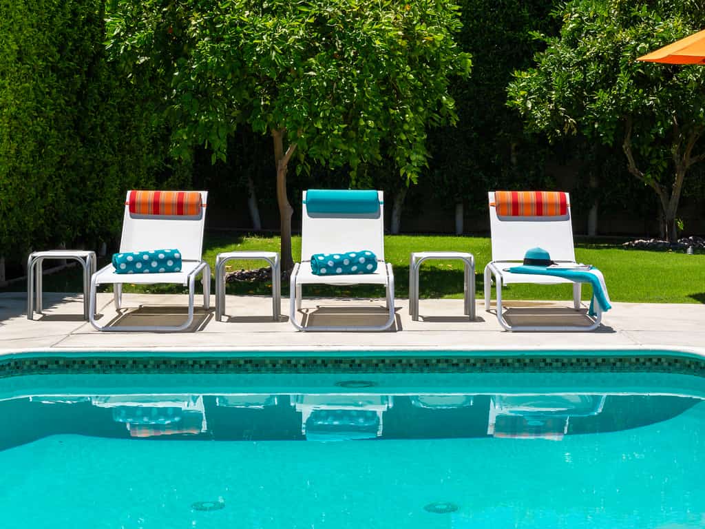 Shaken Not Stirred in Sunrise Park – Midcentury Oasis