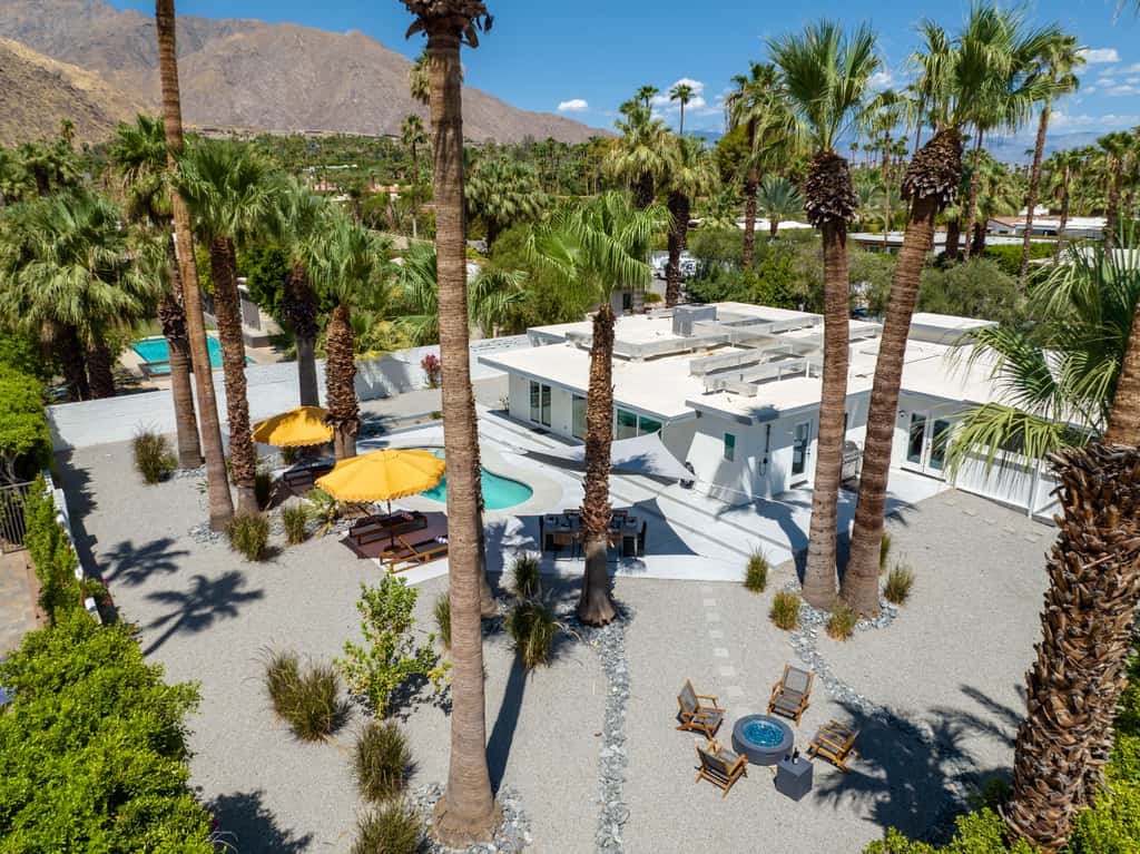 Eleven Palms