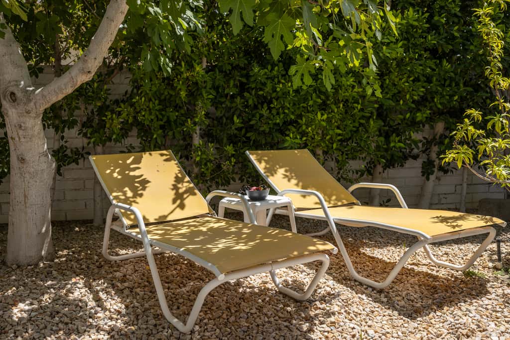 Desert Bloom Retreat