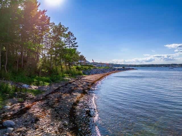 Lookout on Waters Edge