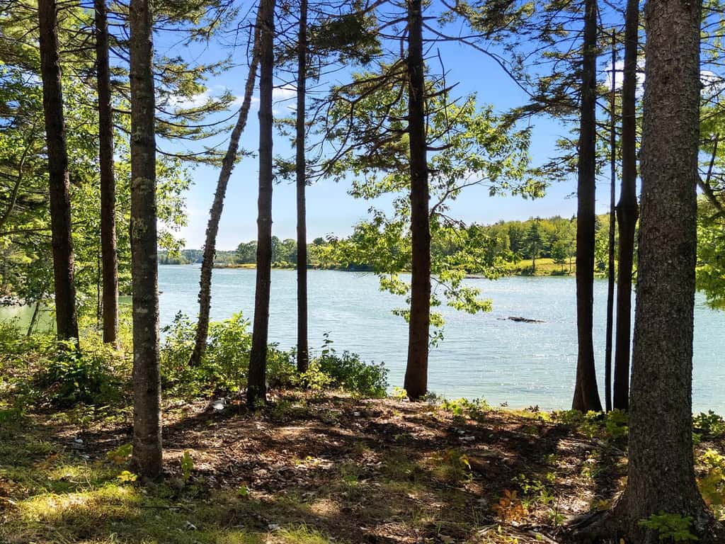 Seegar Camp