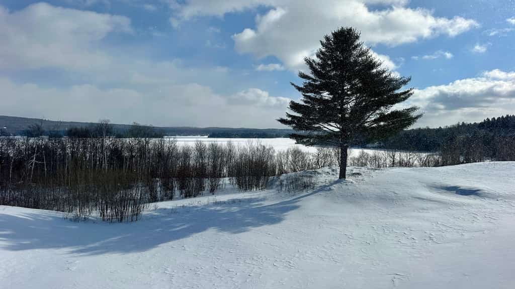 Greens, Pines & Lake Views Condo