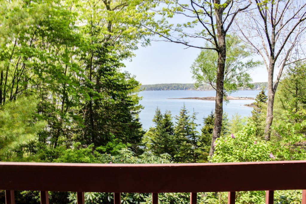 Linekin Bay Lookout