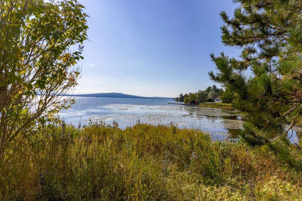 Cozy, dog-friendly waterfront cabin with large yard, porch, dock, & lake views