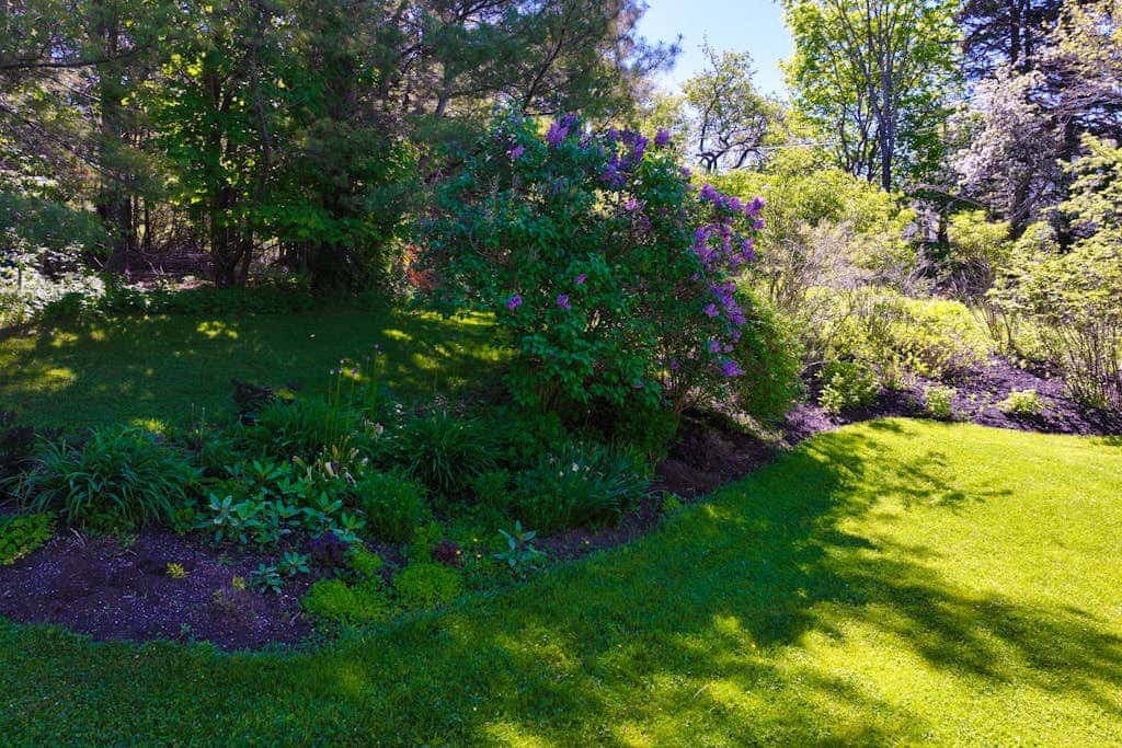 Turkey Cove Cottage