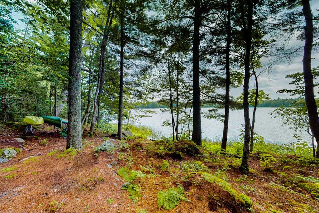 Lazy Lumberjack Lakeside Cottage