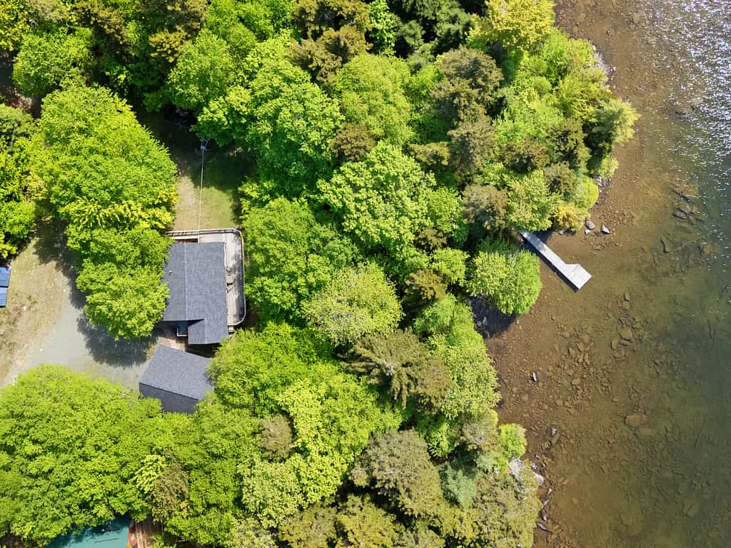 Waterfront cabin w/ outdoor firepit, dock, and lake views - dogs welcome
